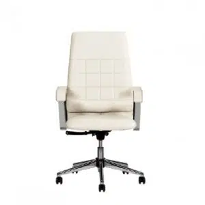 صندلی مدیریتی نیلپر مدل OCM 869i