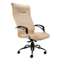 صندلی مدیریتی نیلپر مدل OCM 909E